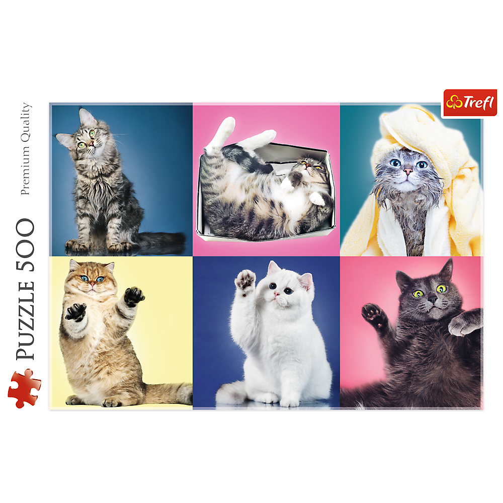 500 Piece Jigsaw Puzzle, Kittens