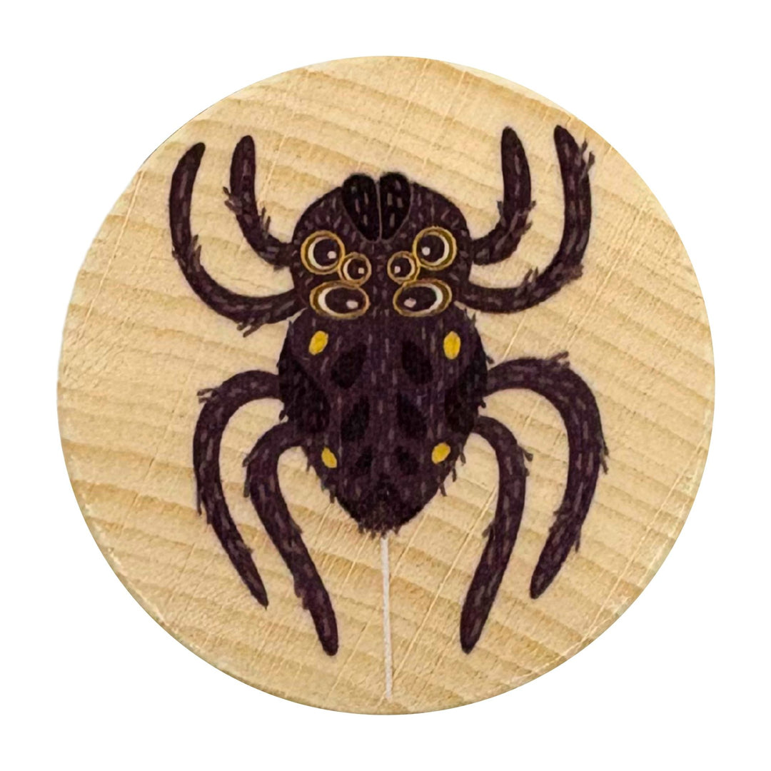 Jumping spider