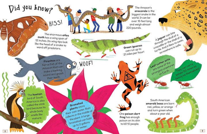 Curious Questions and Answers About Rain Forests