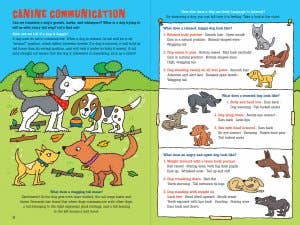 100 Questions About Dogs