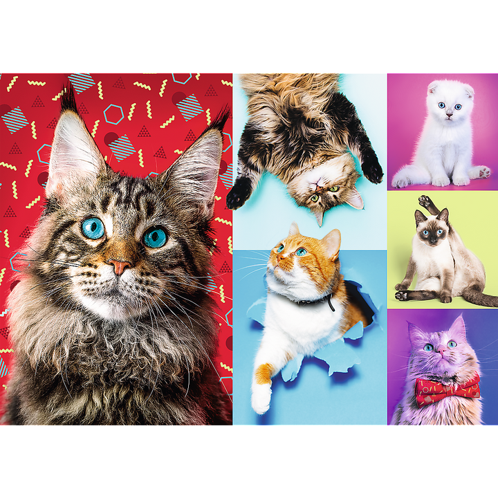 1000 Piece Jigsaw Puzzles, Happy Cats, Pets, Silly Animals, Cats and Kittens, Adult Puzzles, Trefl 10591