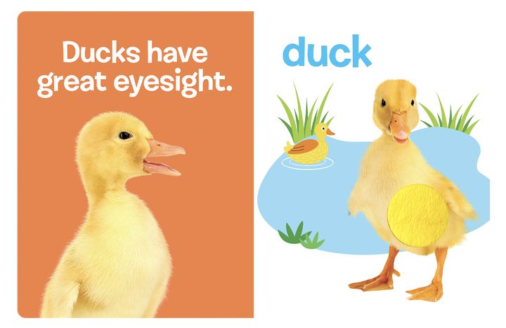 Farm Animals: A Touch and Feel Book