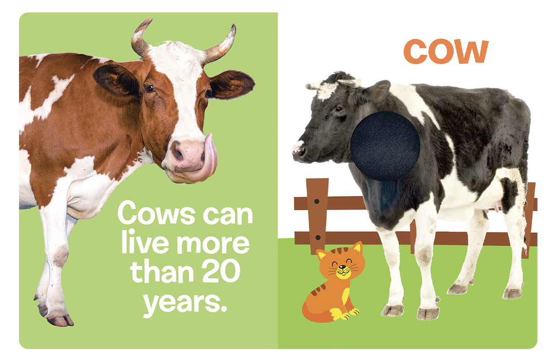 Farm Animals: A Touch and Feel Book