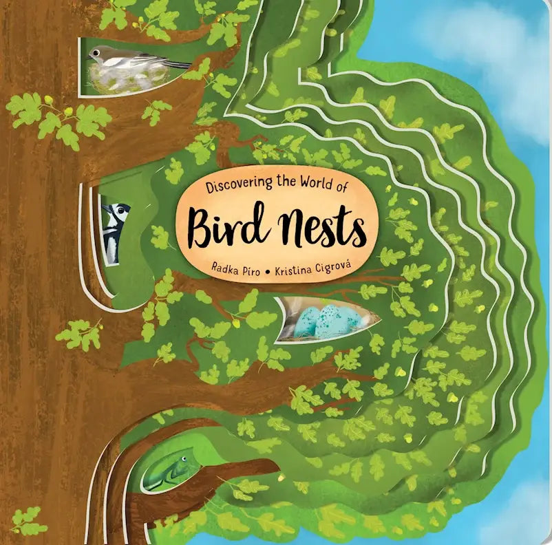 Bird Nests