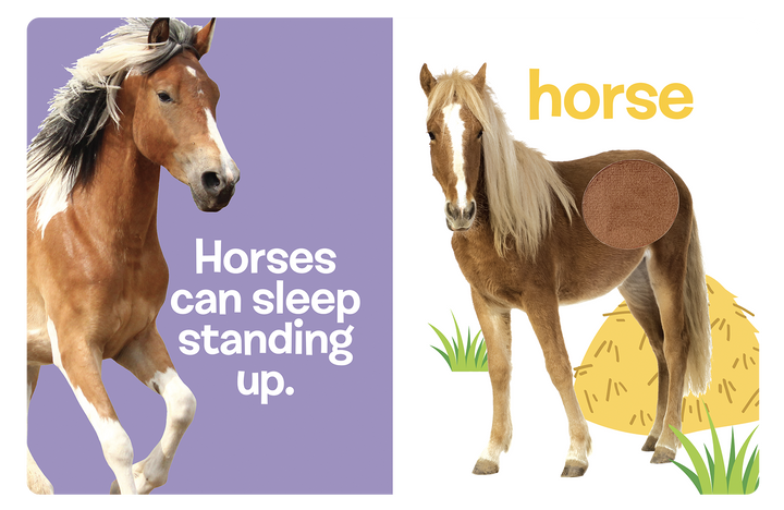 Farm Animals: A Touch and Feel Book