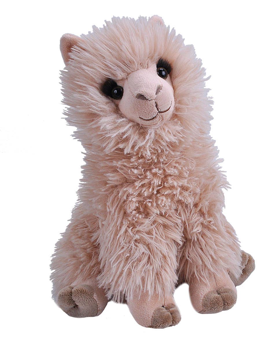 CK Alpaca Stuffed Animal 12"