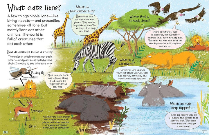 Curious Questions and Answers About Science