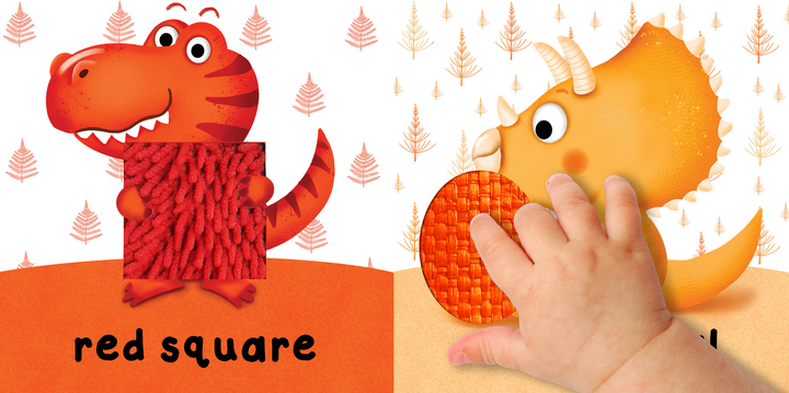Brilliant Baby: Colors & Shapes - Children's Touch and Feel