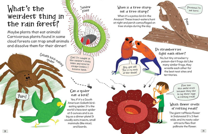 Curious Questions and Answers About Rain Forests