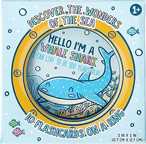 Let's Explore Under the Sea Die Cut Flashcards