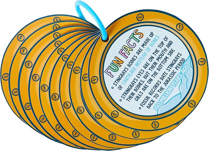 Let's Explore Under the Sea Die Cut Flashcards