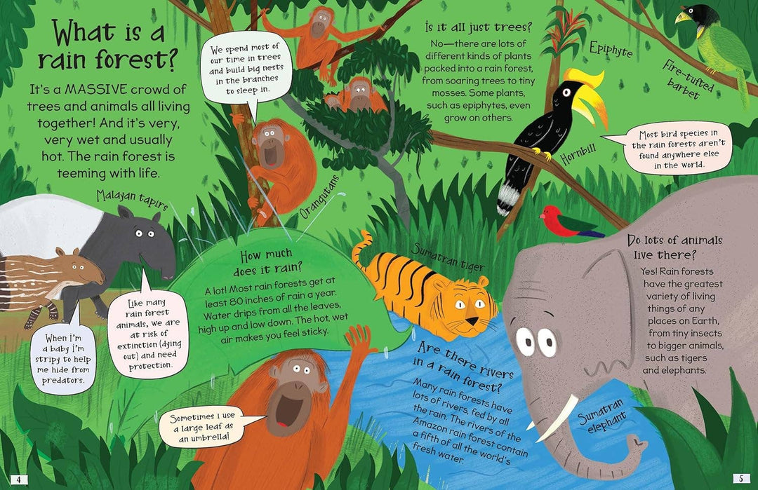 Curious Questions and Answers About Rain Forests