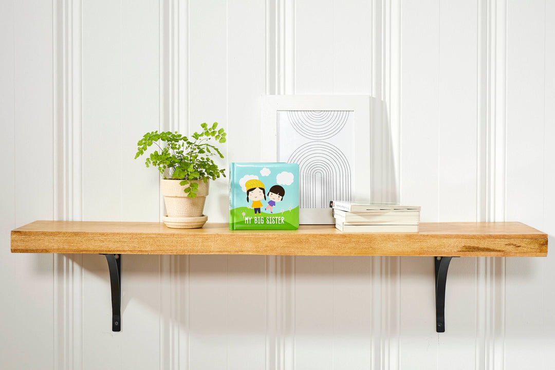 My Big Sister Board Book