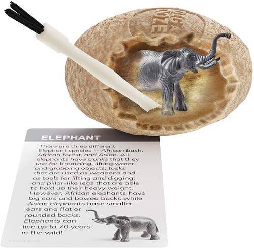 Dig a Dozen Safari Animals Kit