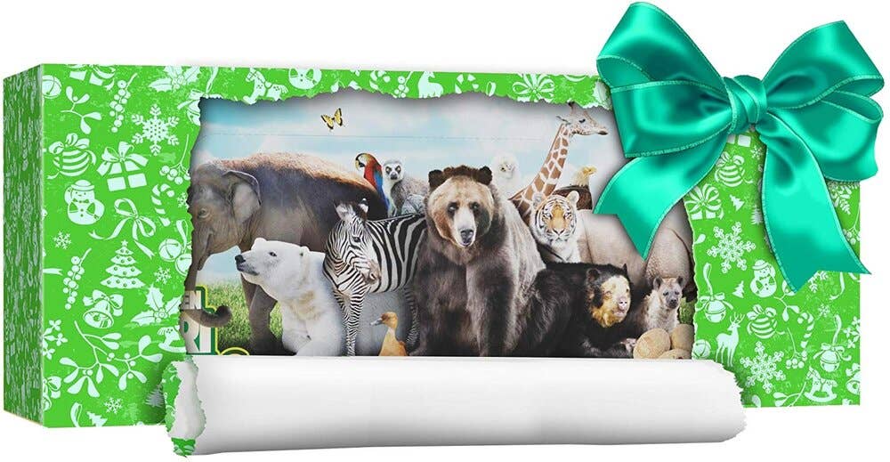 Dig a Dozen Safari Animals Kit
