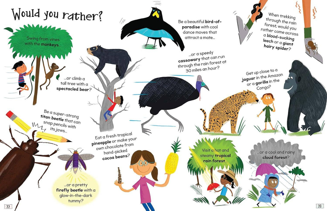 Curious Questions and Answers About Rain Forests