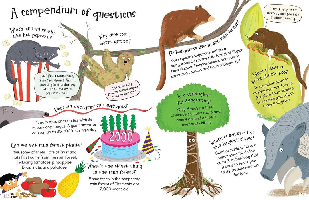 Curious Questions and Answers About Rain Forests