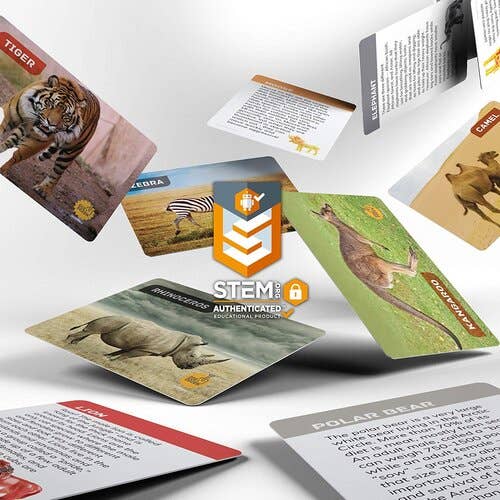 Dig a Dozen Safari Animals Kit