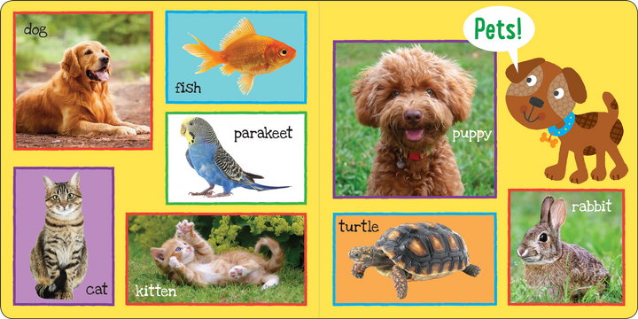 I'm Learning My First 101 Words! Board Book