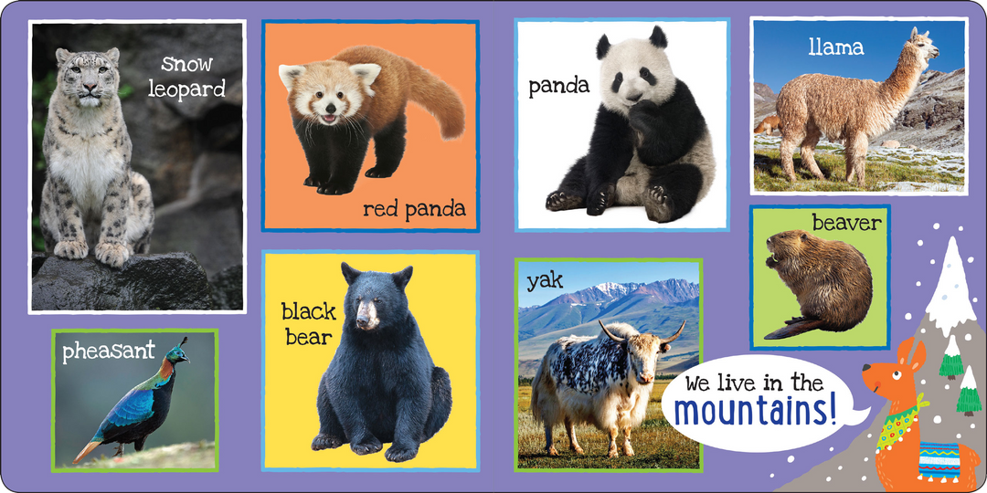 I'm Learning My First 101 Animals! Board Book