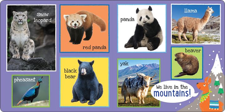 I'm Learning My First 101 Animals! Board Book