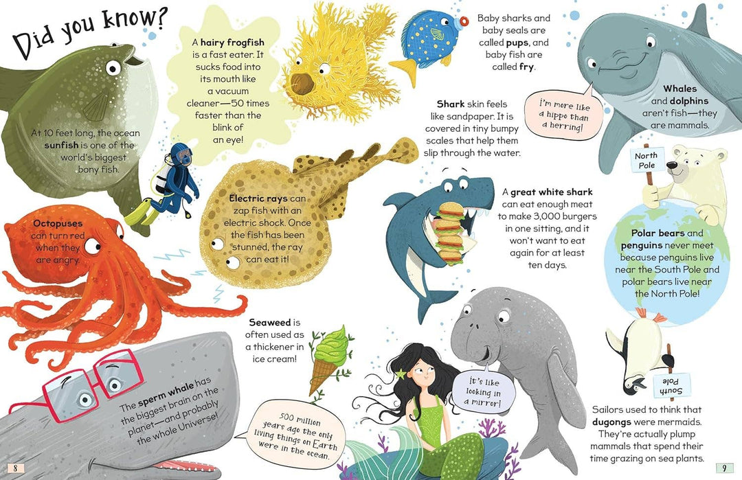 Curious Questions and Answers About Our Oceans