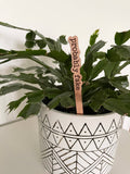 Punny Plant Stakes/ Funny Plant Markers