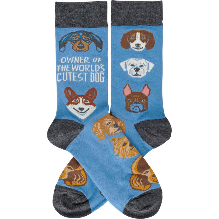 Owner Of World's Cutest Dog Socks