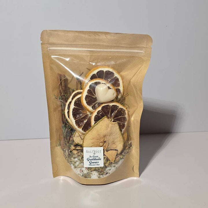 2025 Fall Simmer Pots