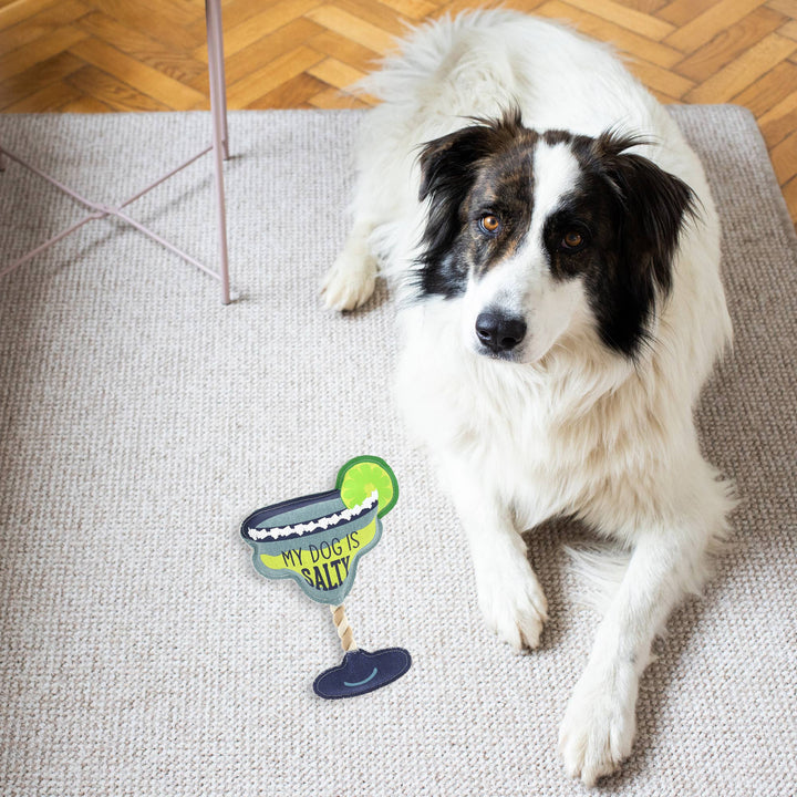 Salty - 11" Canvas Dog Toy on Rope