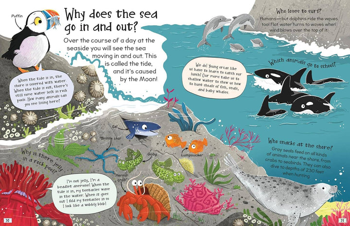 Curious Questions and Answers About Our Oceans