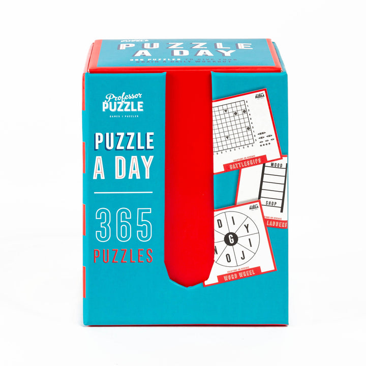Puzzle a Day 365 Brain Puzzles