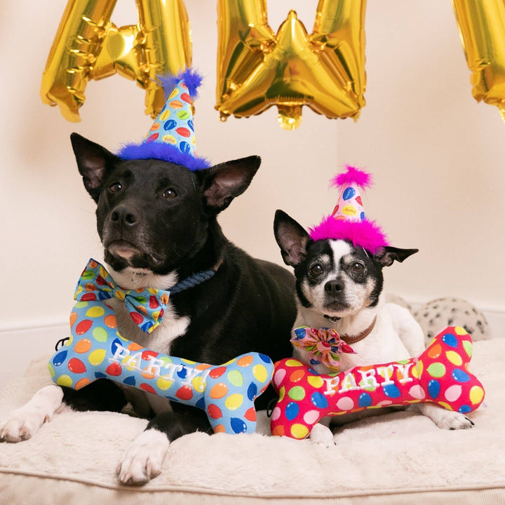 Party Time Bone Blue For Dogs