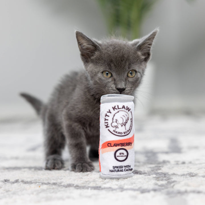 Kitty Klaw Clawberry For Cats