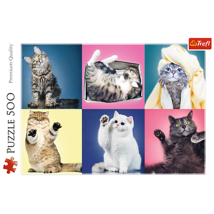 500 Piece Jigsaw Puzzle, Kittens