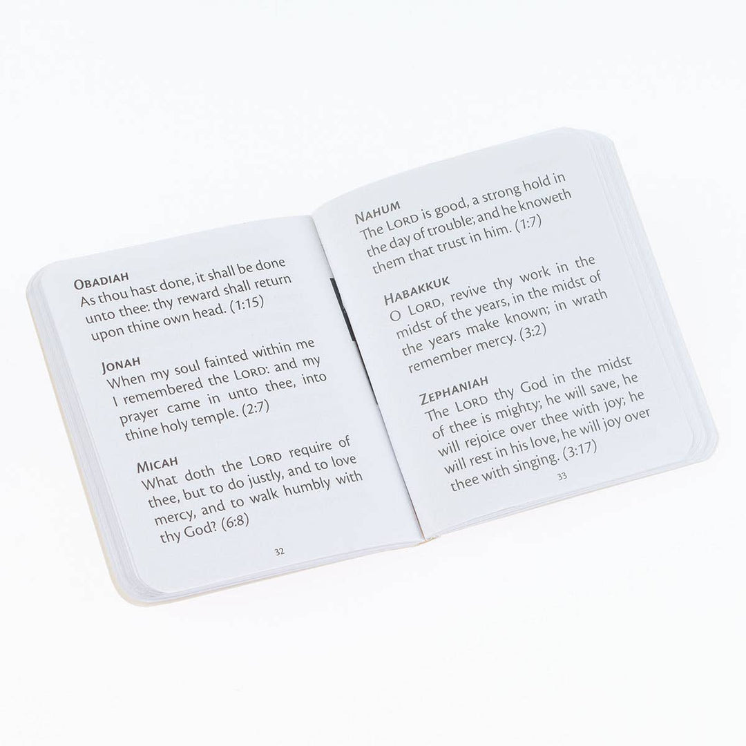 Blue My Little Bible - Illustrated Edition