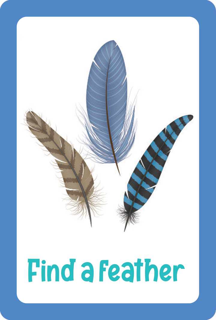 Nature Seek-and-Find Scavenger Hunt Cards