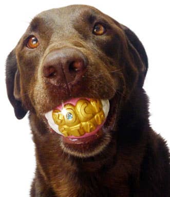 Humunga Bling