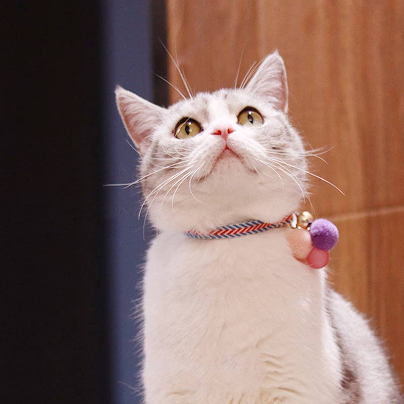 Mokka - Adjustable Collar with Bell