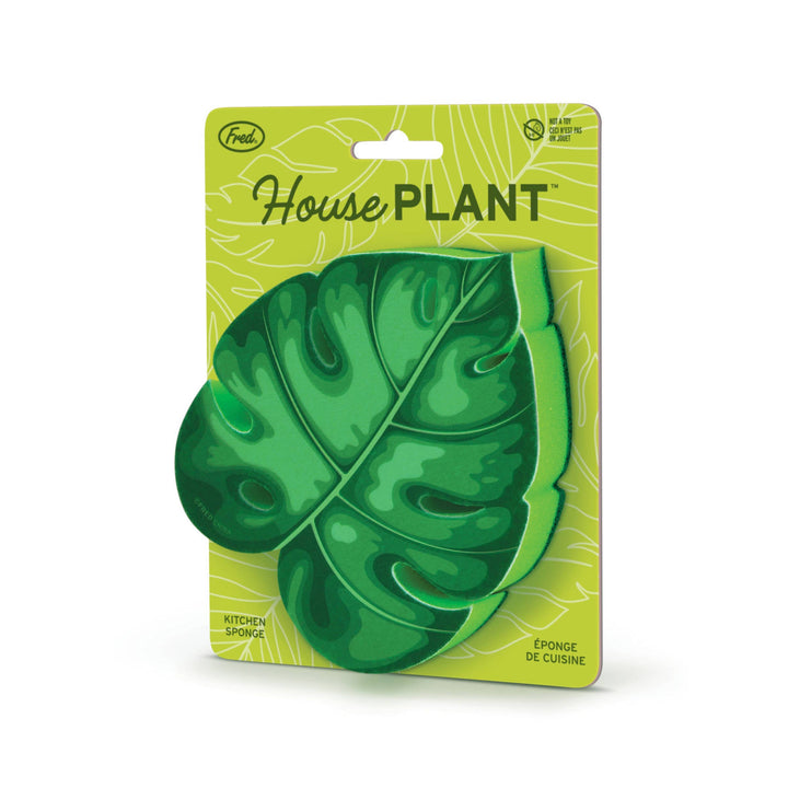 Sponges - House Plant-1
