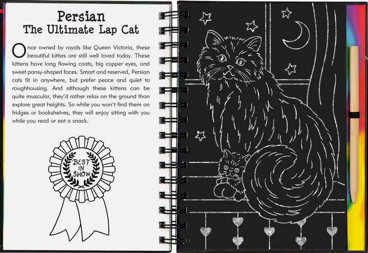 Kittens Scratch and Sketch