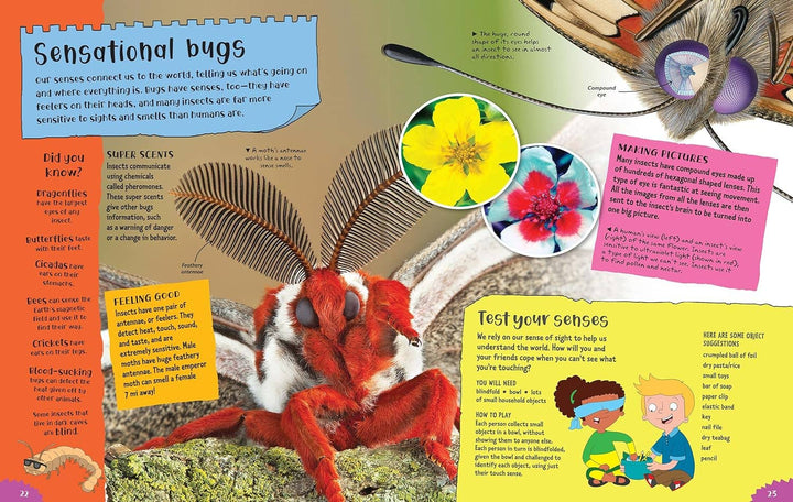 Project Bugs