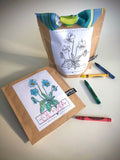 Kids Garden in a Bag |Viola