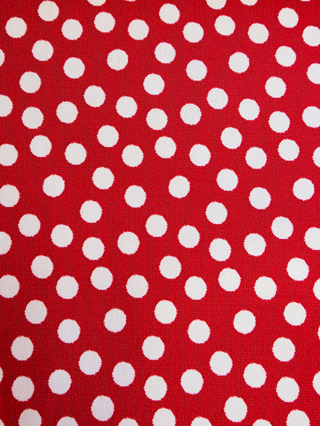 NE Cursive Large Polka Dot Sweatshirt