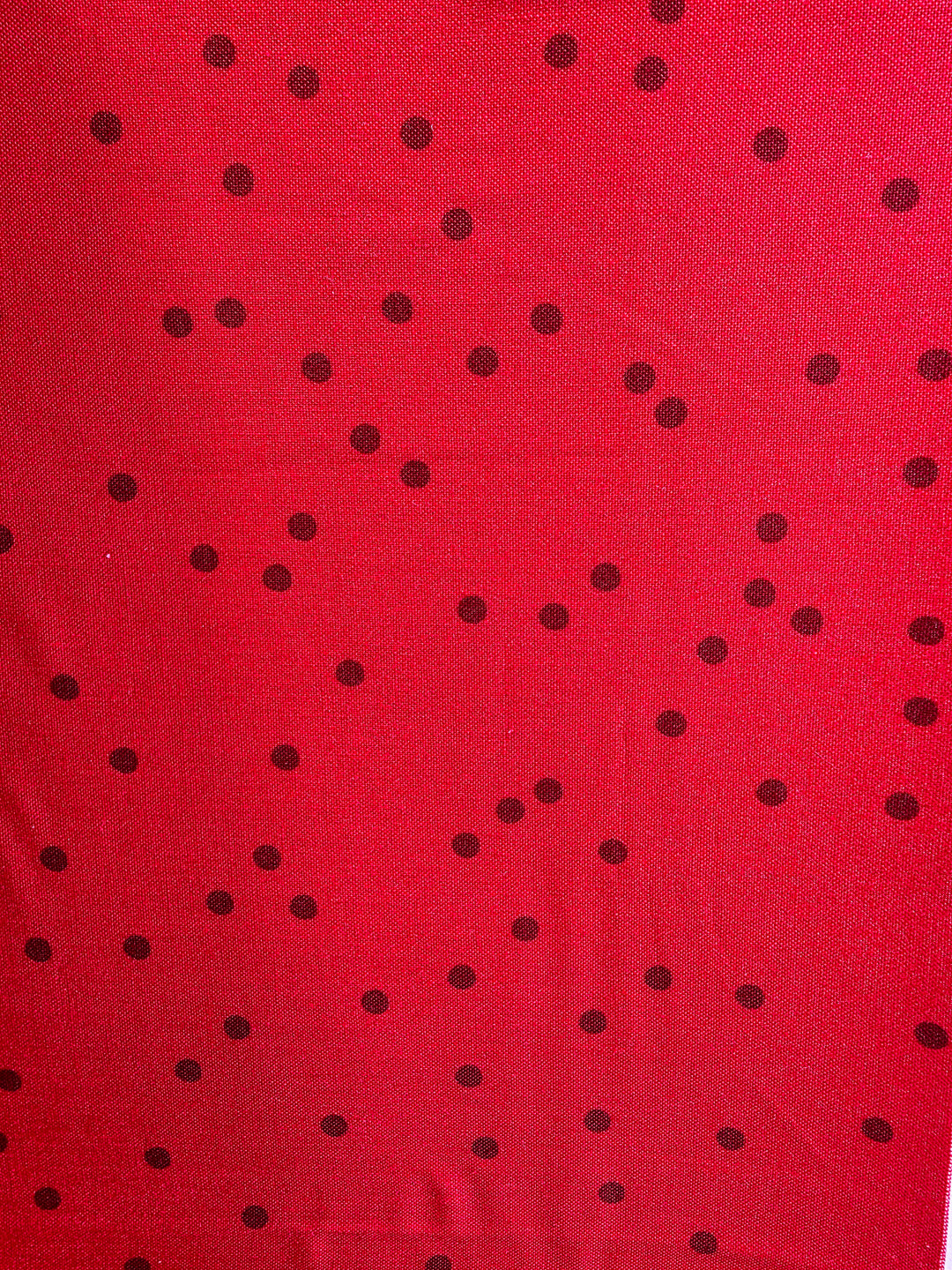 NE Small Polka Dot Sweatshirt