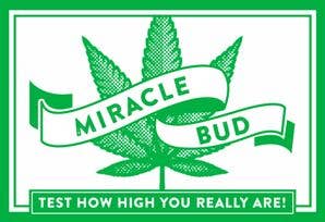 Miracle Bud: