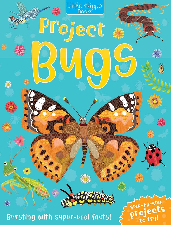 Project Bugs