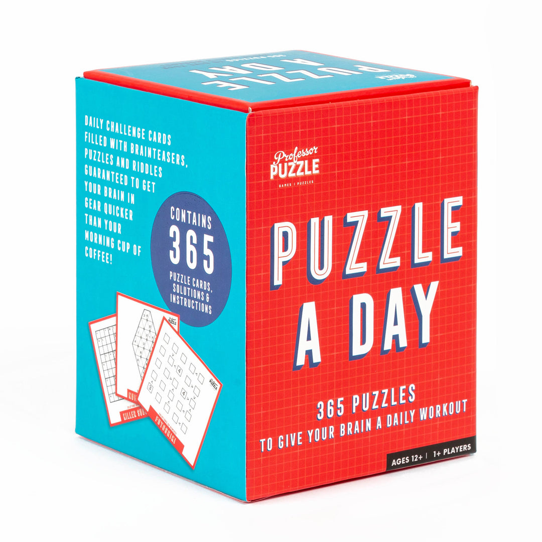 Puzzle a Day 365 Brain Puzzles