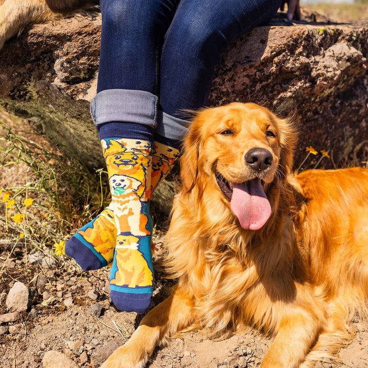Life Is Golden (Golden Retriever) Socks