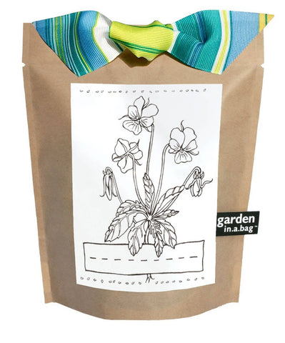 Kids Garden in a Bag |Viola